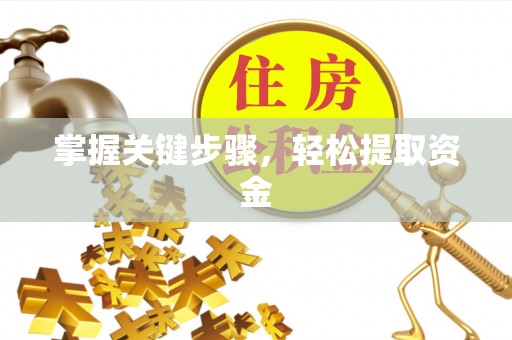 莒县掌握关键步骤，轻松提取资金