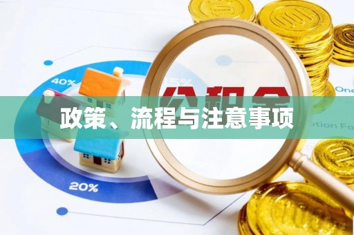 莒县政策、流程与注意事项