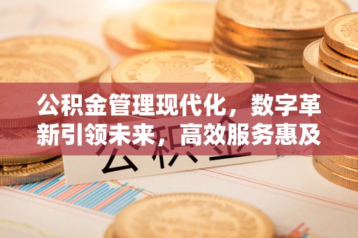 莒县公积金管理现代化，数字革新引领未来，高效服务惠及民生