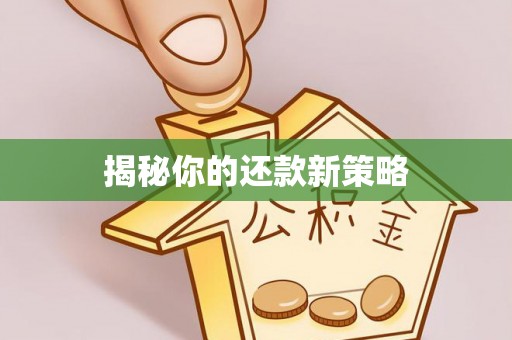 莒县揭秘你的还款新策略