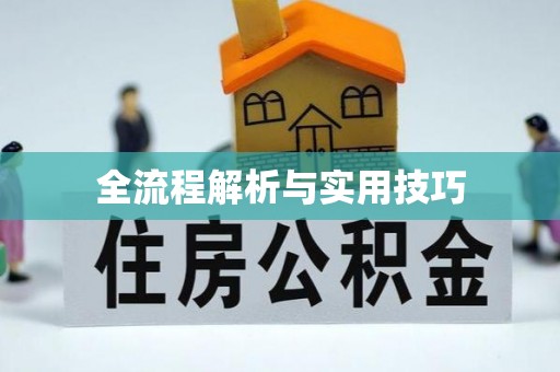 莒县全流程解析与实用技巧