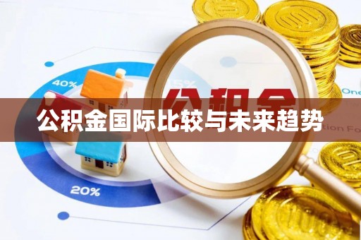 莒县公积金国际比较与未来趋势