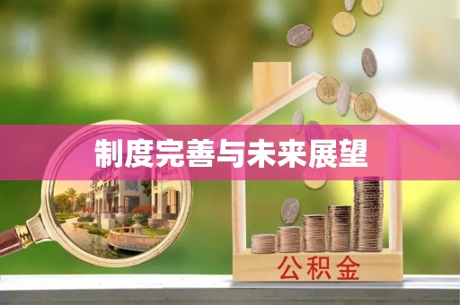 莒县制度完善与未来展望