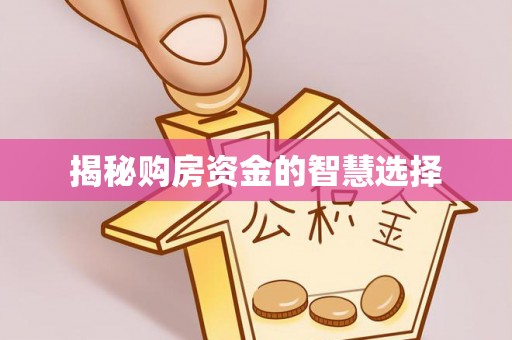 莒县揭秘购房资金的智慧选择