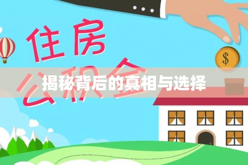 莒县揭秘背后的真相与选择