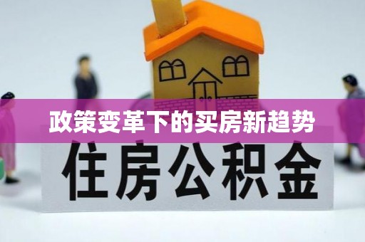莒县政策变革下的买房新趋势