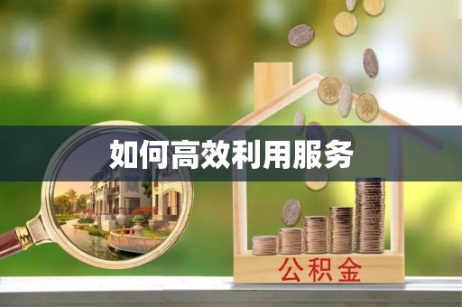 莒县如何高效利用服务
