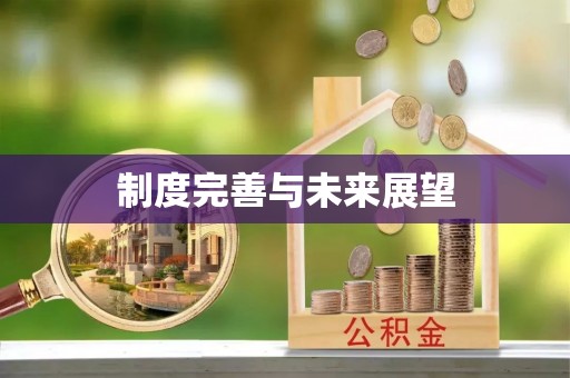 莒县制度完善与未来展望
