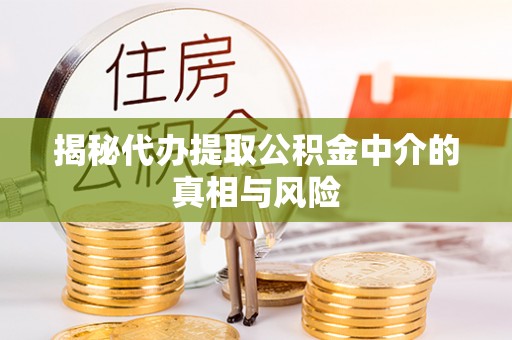 莒县揭秘代办提取公积金中介的真相与风险