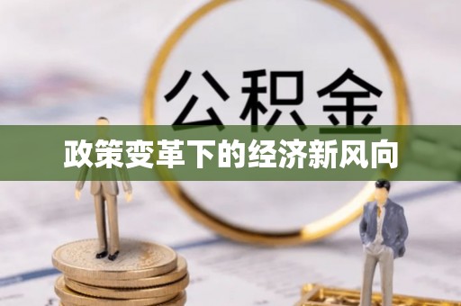 莒县政策变革下的经济新风向