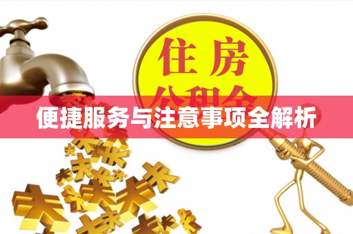 莒县便捷服务与注意事项全解析