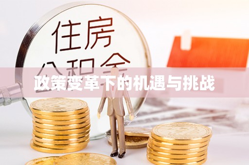 莒县政策变革下的机遇与挑战