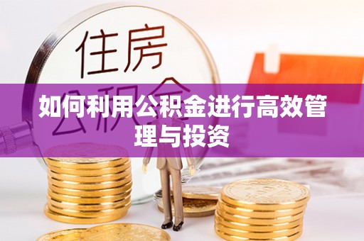 莒县如何利用公积金进行高效管理与投资