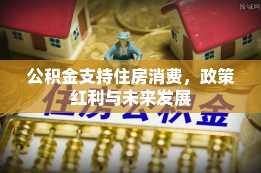 莒县公积金支持住房消费，政策红利与未来发展