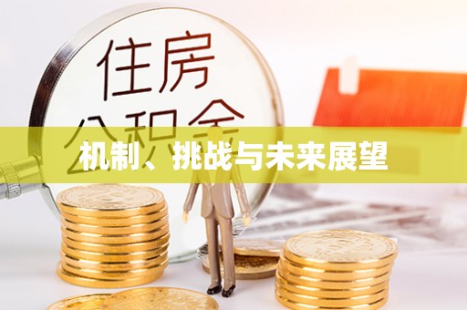 莒县机制、挑战与未来展望